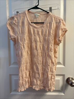 Sundance Light Pink Crinkle Short Sleeve Top